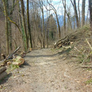 DSC02115.JPG