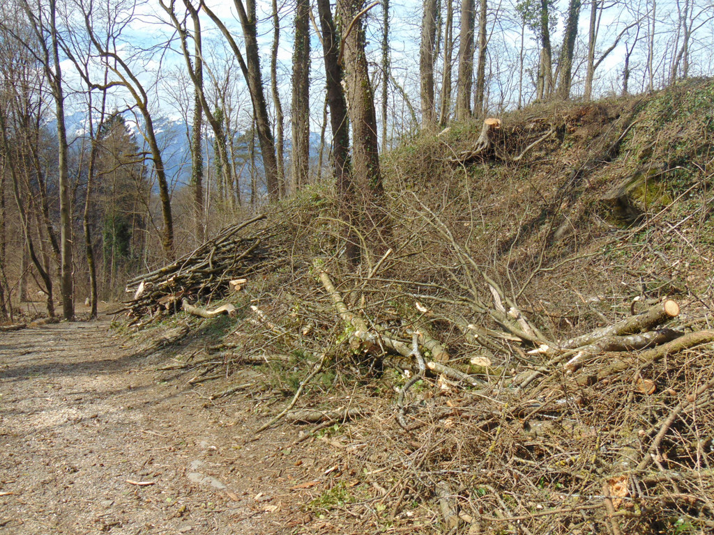 DSC02116.JPG