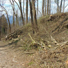 DSC02116.JPG