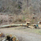 DSC02117.JPG