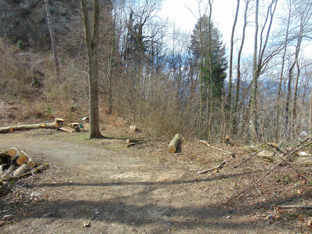 DSC02118.JPG