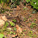 IMG_7641.jpg