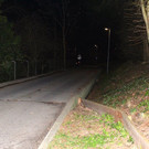 IMG_7642.jpg