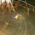 IMG_7652.jpg