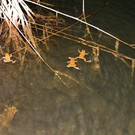 IMG_7657.jpg