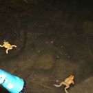 IMG_7660.jpg