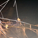 IMG_7662.jpg