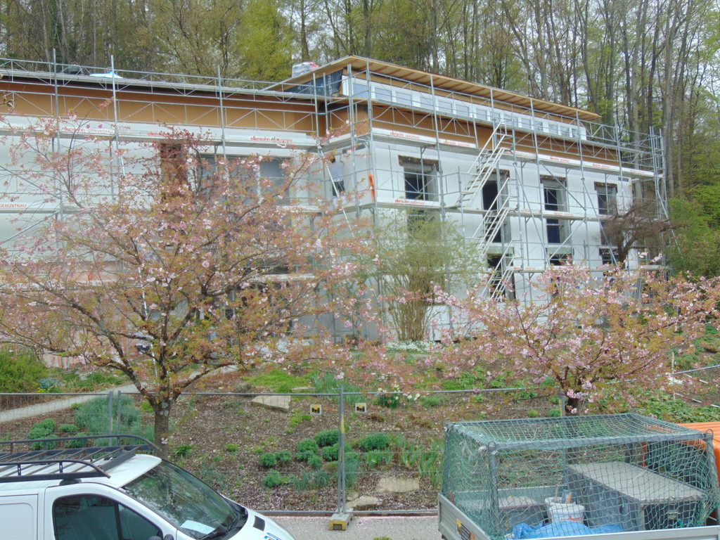 DSC02154.JPG