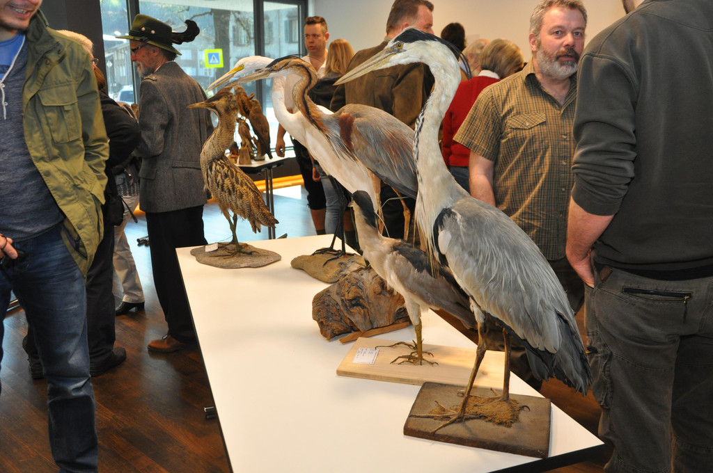 DSC_0038.JPG