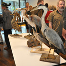 DSC_0038.JPG