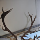 DSC_0084.JPG