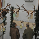 DSC_0134.JPG