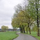 DSC_0067.JPG