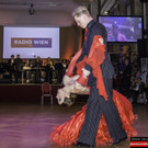 Radio Wien Dancing Stars Party - 12_04_2016-6685.jpg