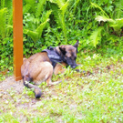 normal_16062010Suchaktionundbergungkapbergsbgmwaktivnews_25.jpg
