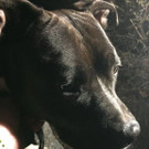 noch mehr Fotos von Zeus