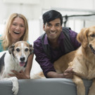 Purina_Niedetzky Nair.jpg