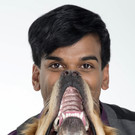 Purina_Zeig Schnauze_Nair.jpg