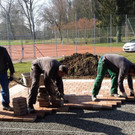 20160310_102326.jpg