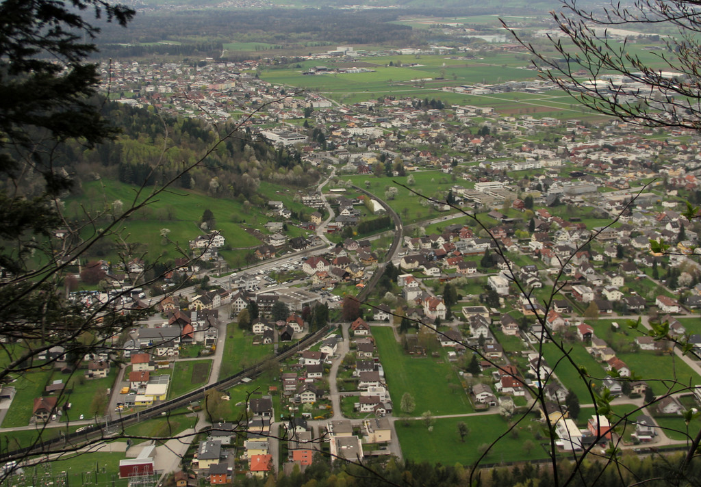 IMG_5977.JPG