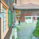 1_3__T1A0503.jpg