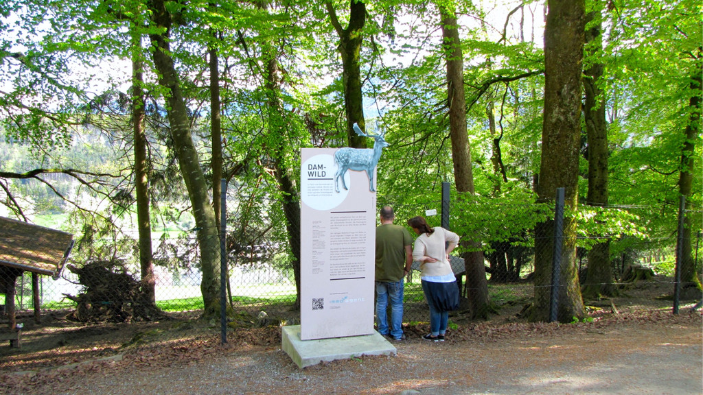 KOE_Wildpark Damhirsch und Frischlinge 1.jpg