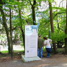 KOE_Wildpark Damhirsch und Frischlinge 1.jpg