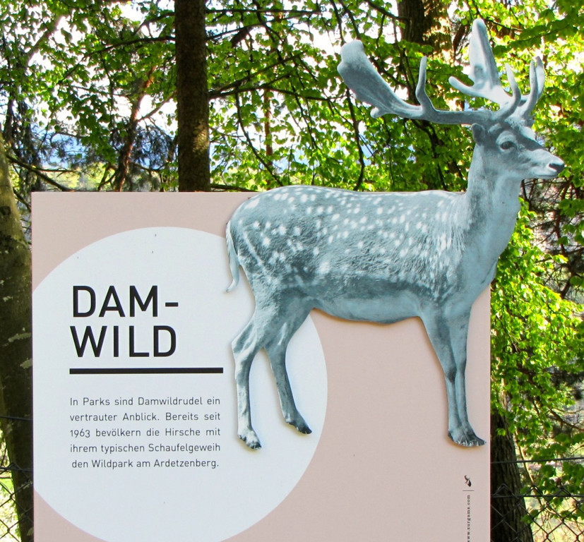 KOE_Wildpark Damhirsch und Frischlinge 2.jpg