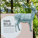KOE_Wildpark Damhirsch und Frischlinge 2.jpg