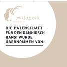KOE_Wildpark Damhirsch und Frischlinge 14.jpg