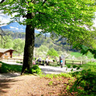 KOE_Wildpark Damhirsch und Frischlinge 15.jpg