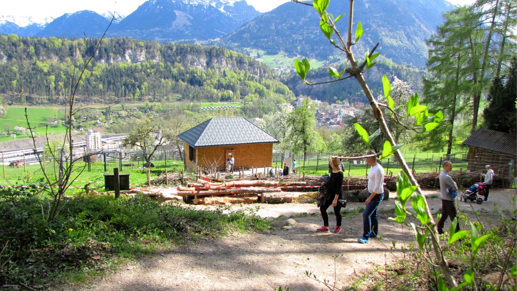 KOE_Wildpark Damhirsch und Frischlinge 16.jpg