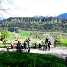 KOE_Wildpark Damhirsch und Frischlinge 17.jpg
