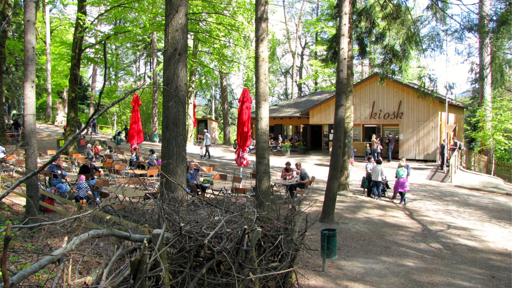 KOE_Wildpark Damhirsch und Frischlinge 18.jpg