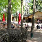 KOE_Wildpark Damhirsch und Frischlinge 18.jpg