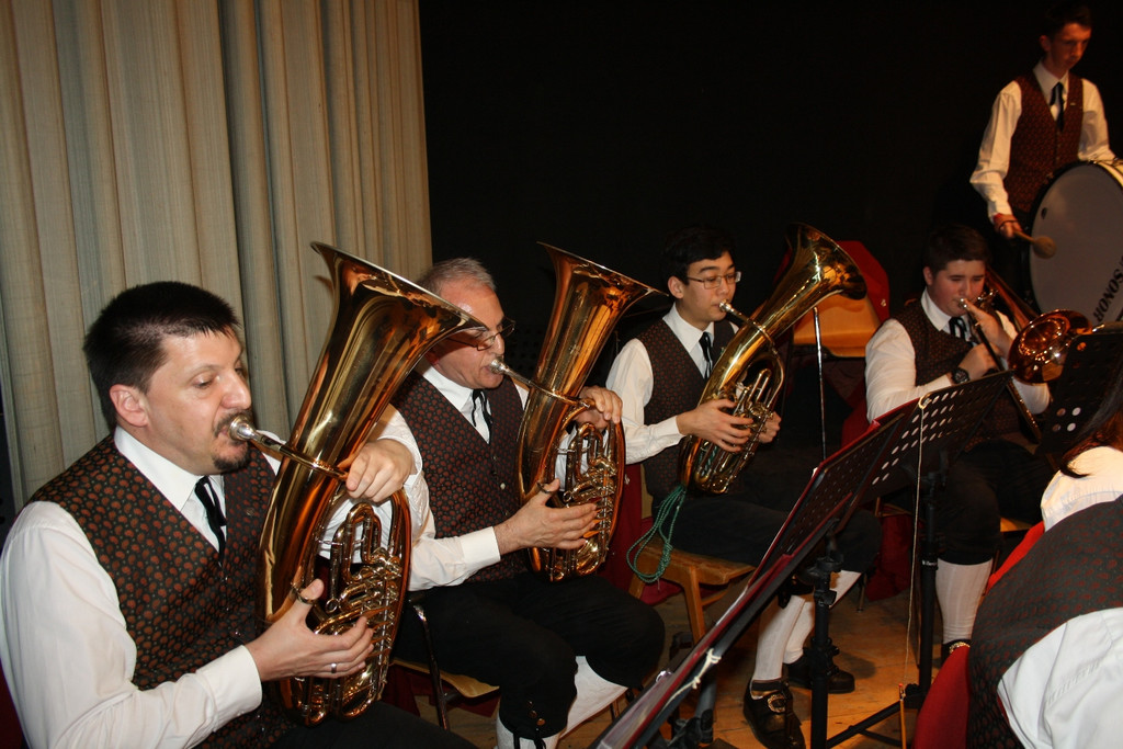 Gemeinschaftskonzert MUSISCHE VEREINE 2016 _16_.JPG