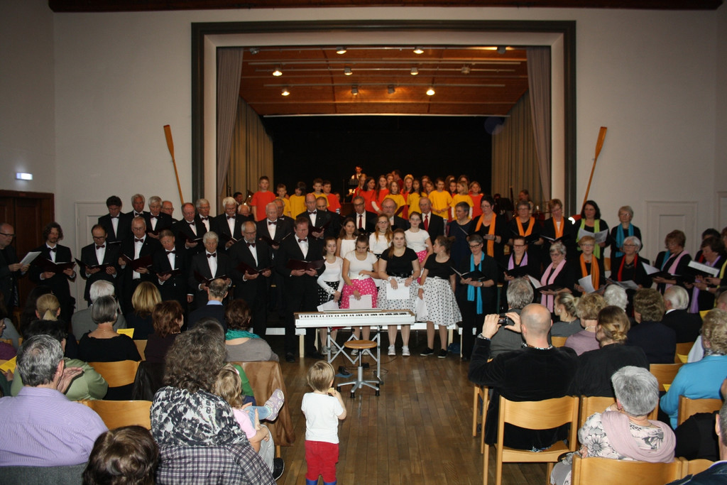Gemeinschaftskonzert MUSISCHE VEREINE 2016 _31_.JPG