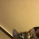 MINZI