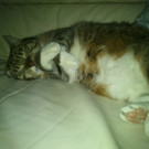 MINZI
