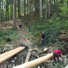 Freiwilligentag 2015 _10_.JPG