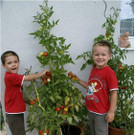 Buben mit Tomate.jpg