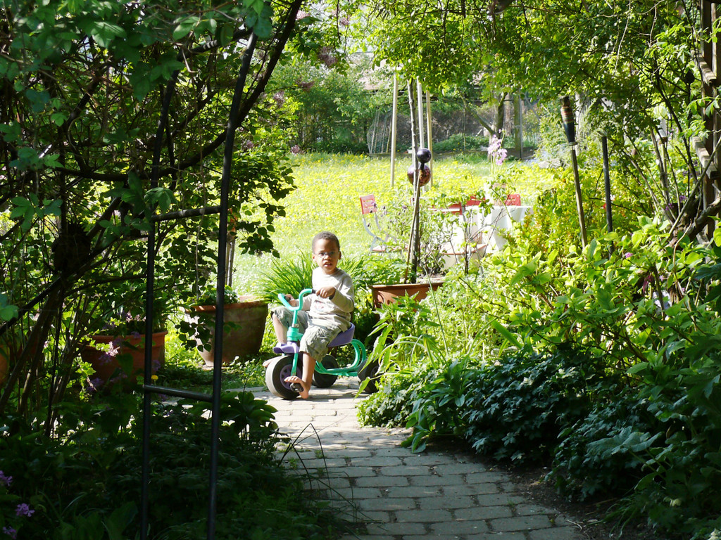 Elfride Heinzle 2011 _10_.JPG