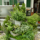 D__r Andreas _9_.JPG