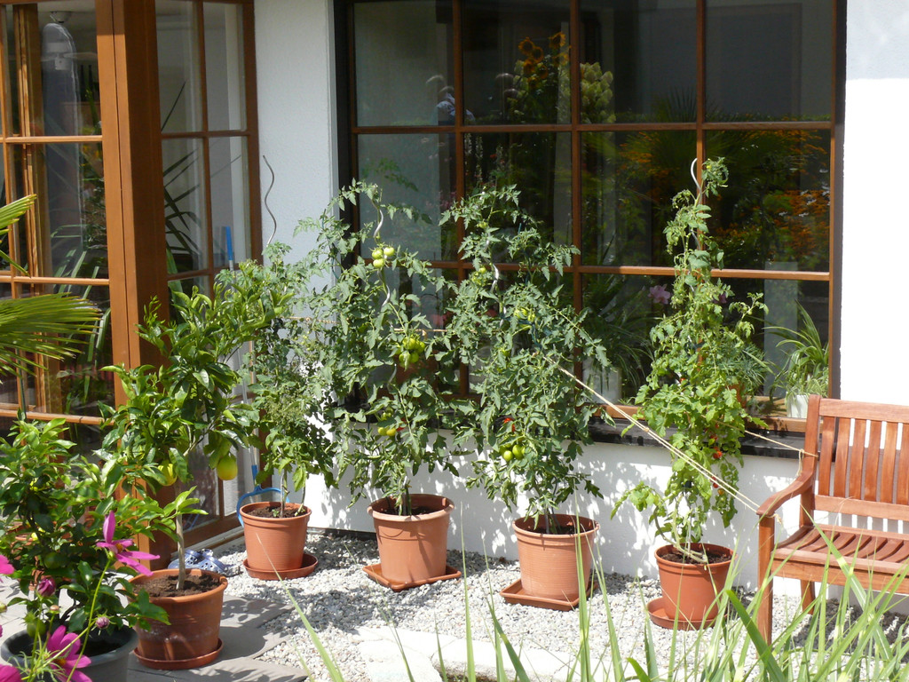 Preg Gertrud_ Rankweil_ rh _7_.JPG