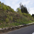 A2 Umweltalarm _5_.jpg