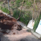 A2 Umweltalarm _6_.jpg