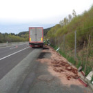 A2 Umweltalarm _9_.jpg