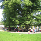 IMG_2220_JPG-1276766131