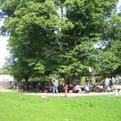 IMG_2221_JPG-1276766205