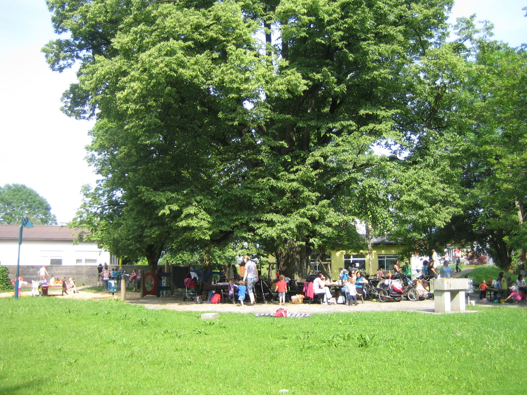 IMG_2221_JPG-1276766205